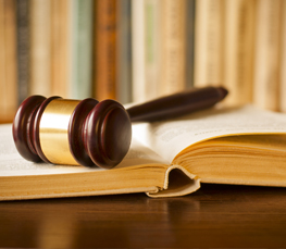 Immigration Appeals