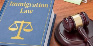 The Study Permit Process is Inherently Unfair Claims Immigration Lawyer Matthew Jeffery