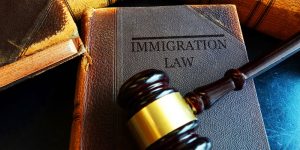 The Safe Third Country Agreement Needs to be Scrapped Claims Immigration Lawyer, Matthew Jeffery